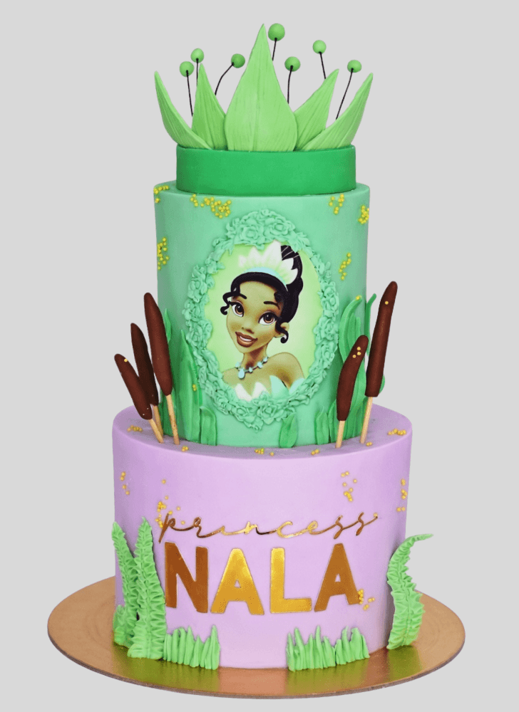 Magnificent Tiana Cake