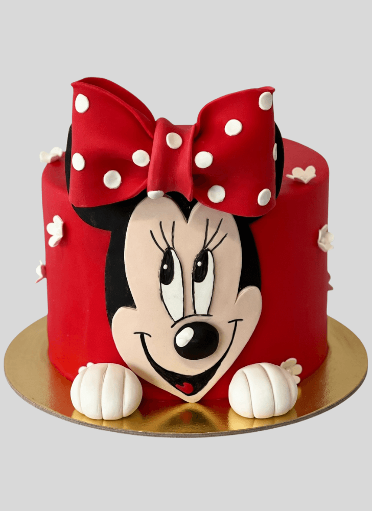 Beauteous Mini Mouse Cake