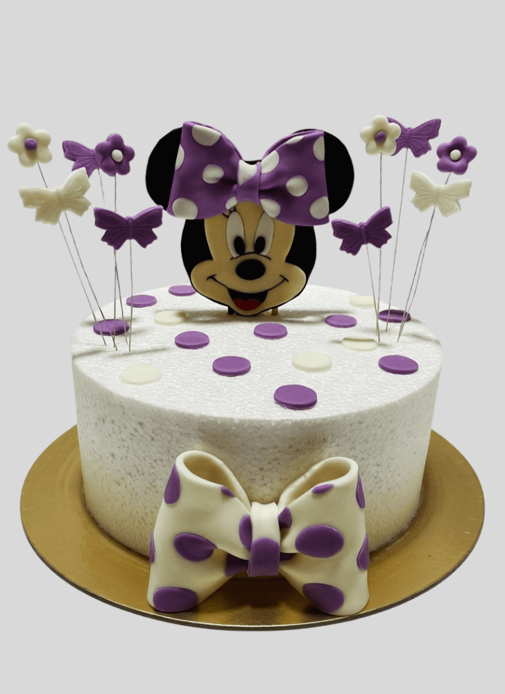 Fine Mini Mouse Cake