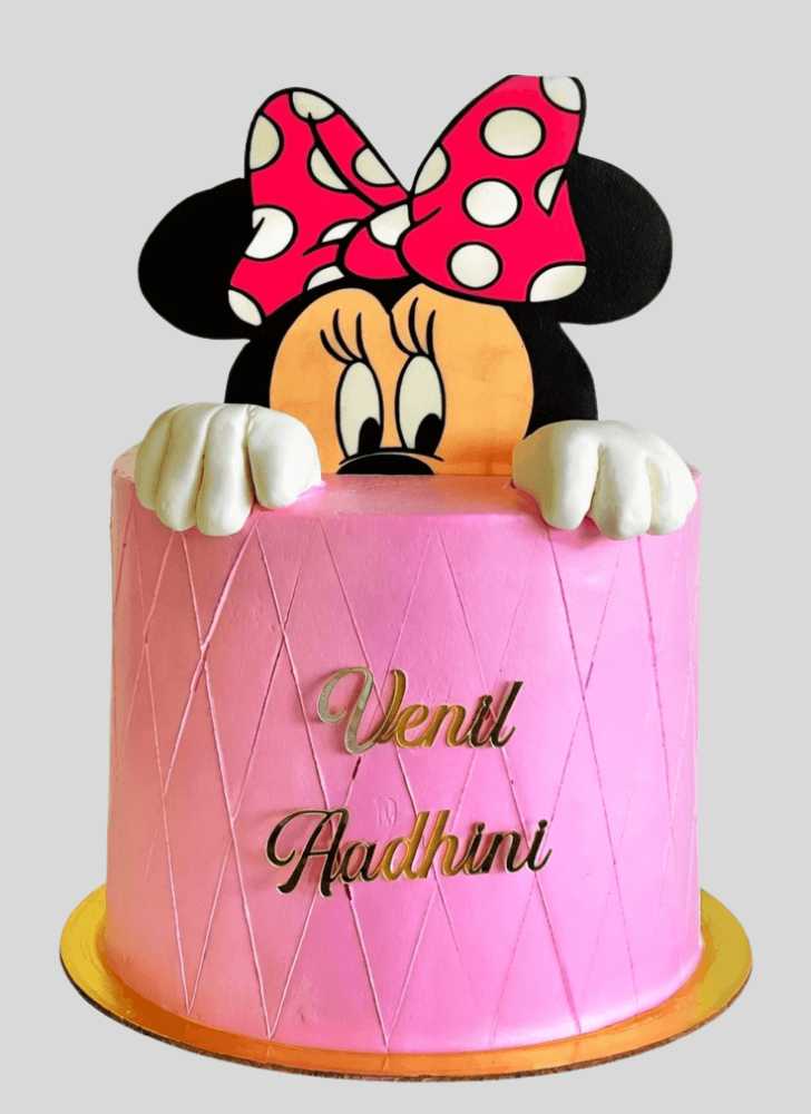 Nice Mini Mouse Cake