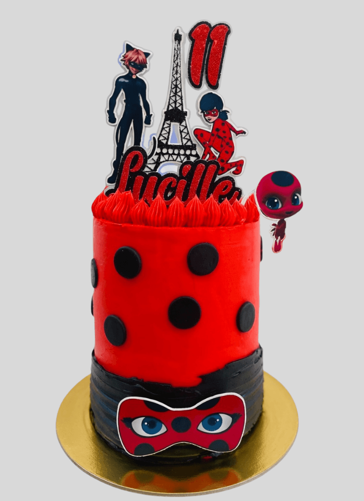 Fetching Miraculous Ladybug Cake