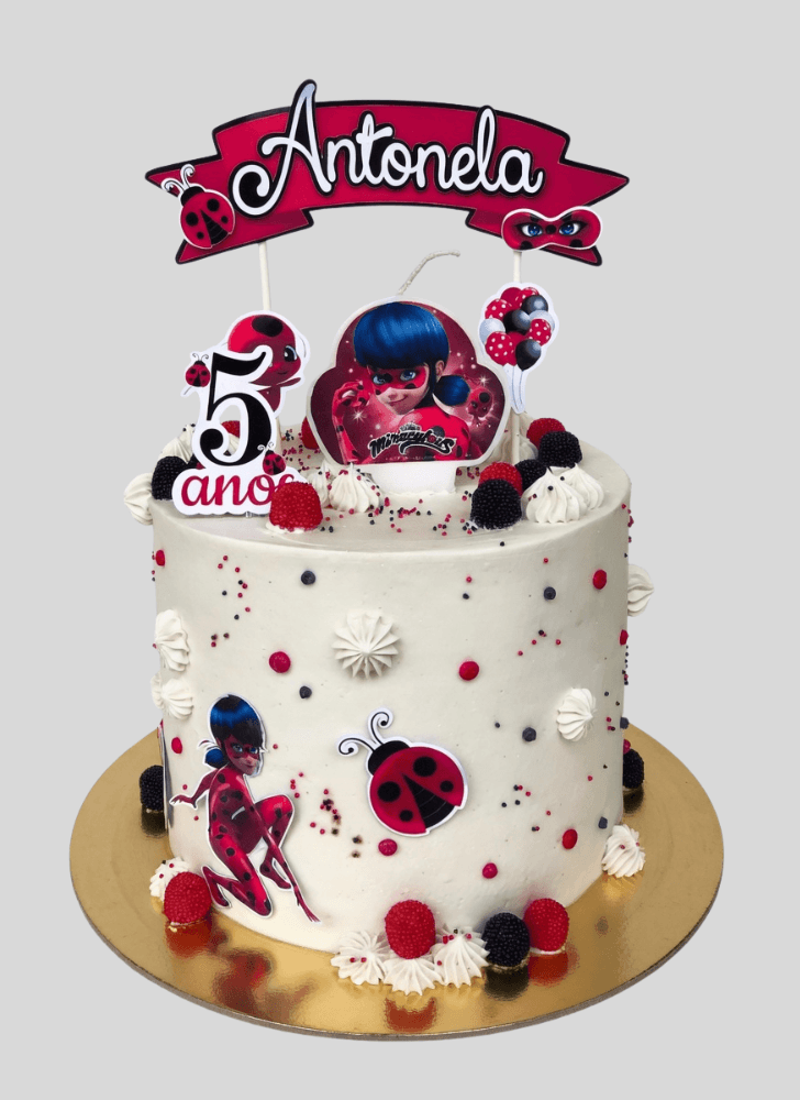 Magnetic Miraculous Ladybug Cake