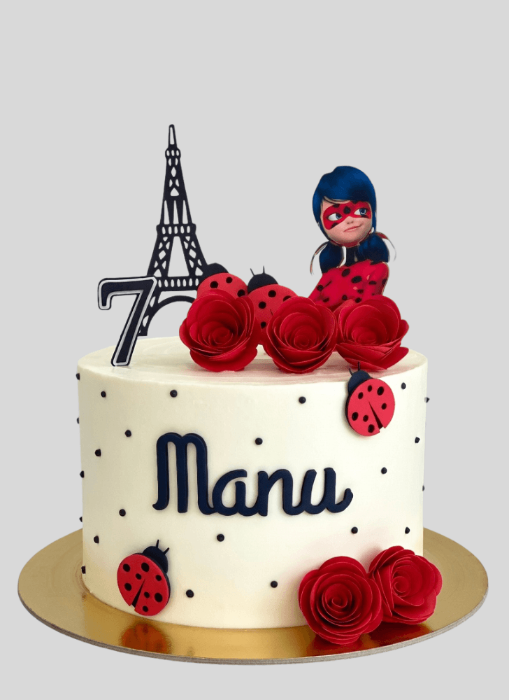 Shapely Miraculous Ladybug Cake