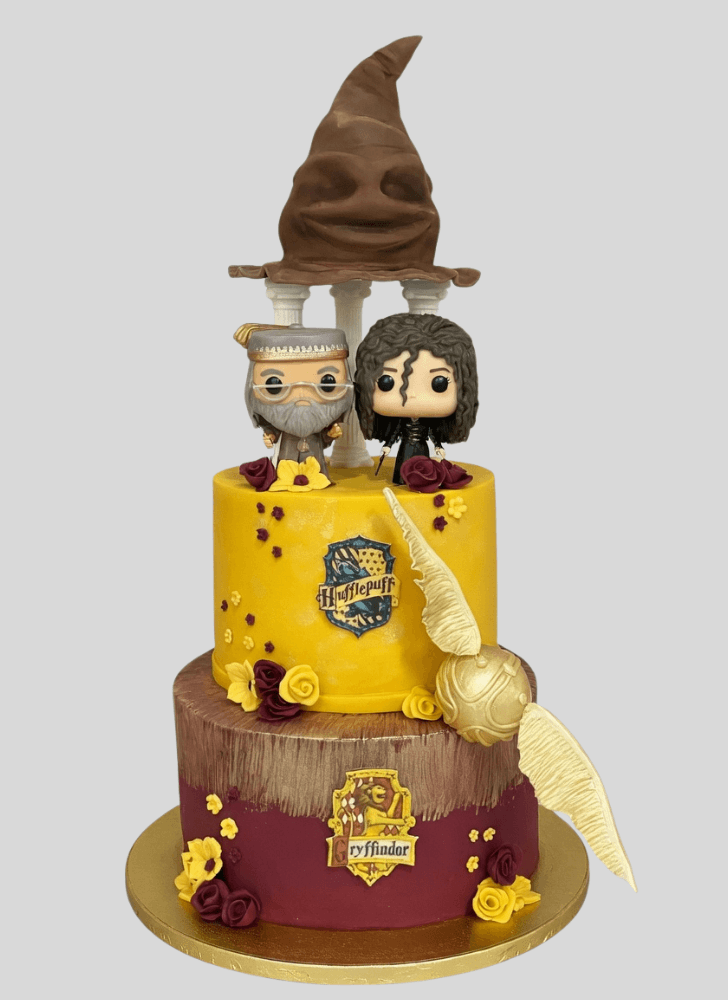 Bewitching Sorting Hat Cake