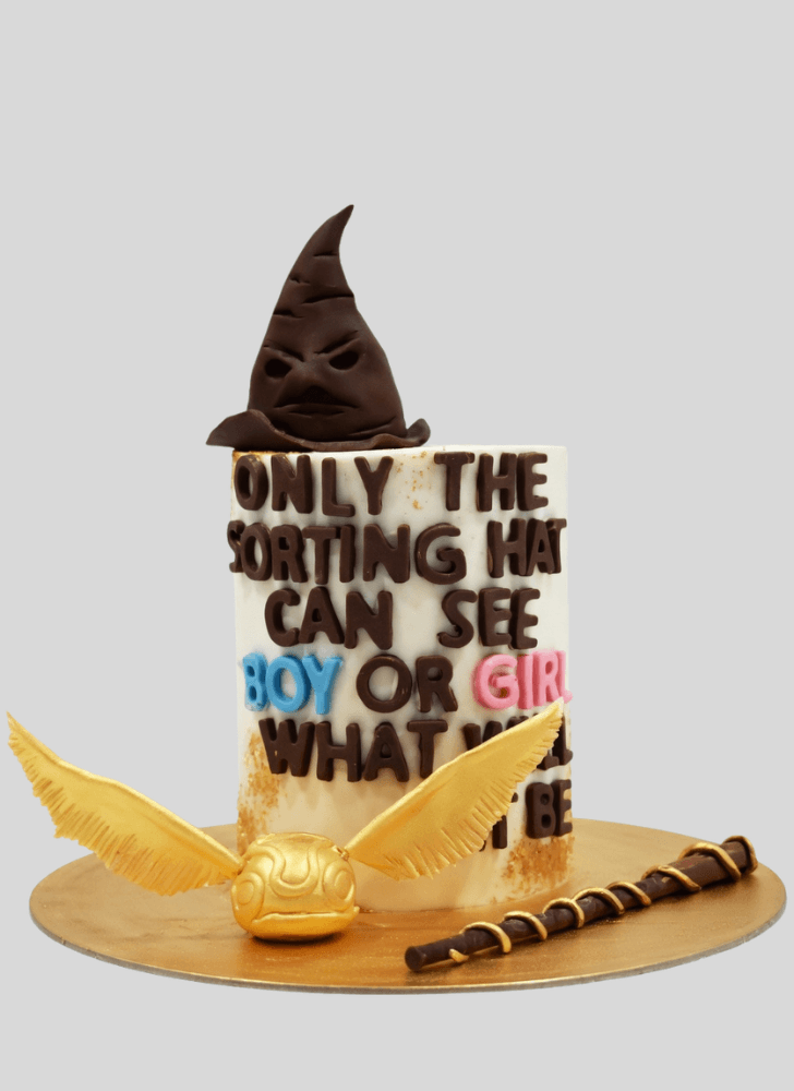 Fetching Sorting Hat Cake