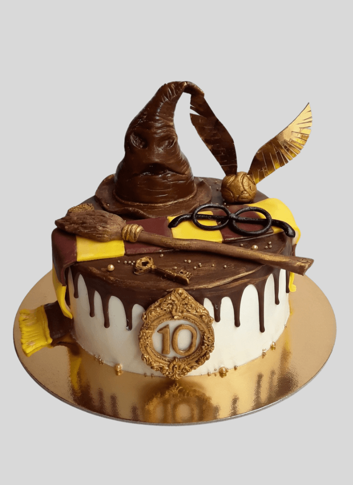 Magnetic Sorting Hat Cake