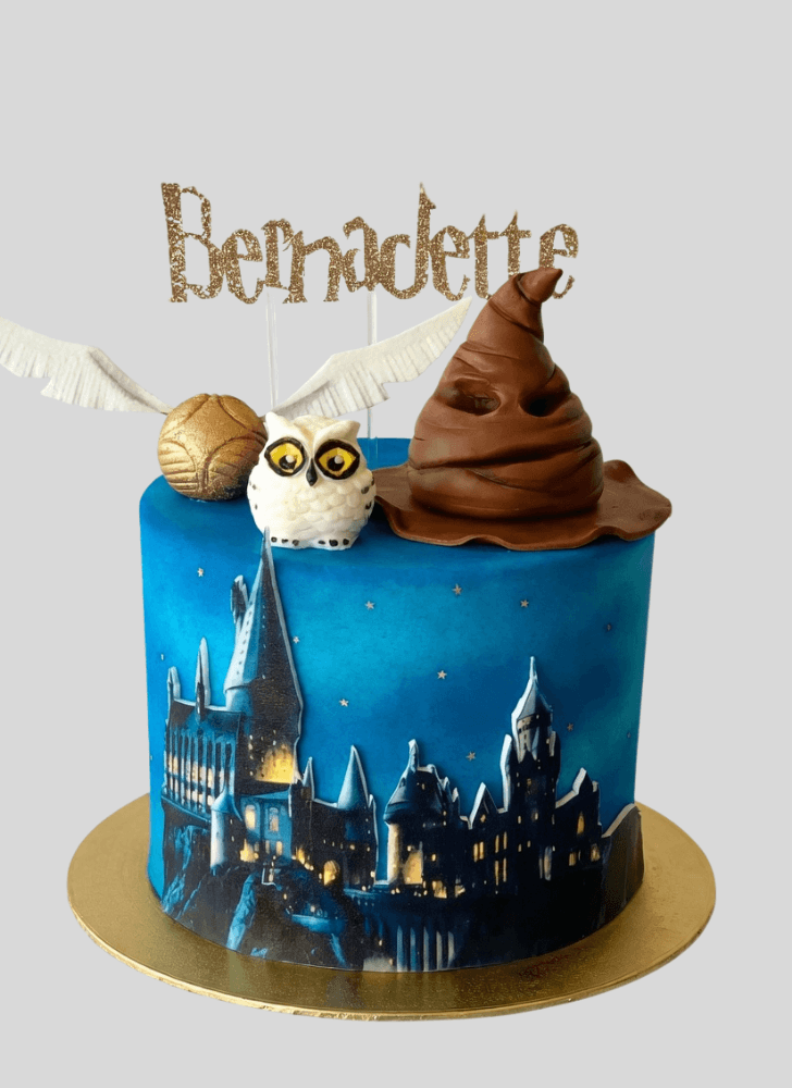 Wonderful Sorting Hat Cake Design