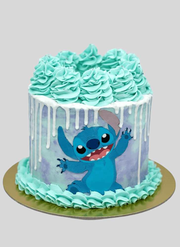 Comely Stitch Cake