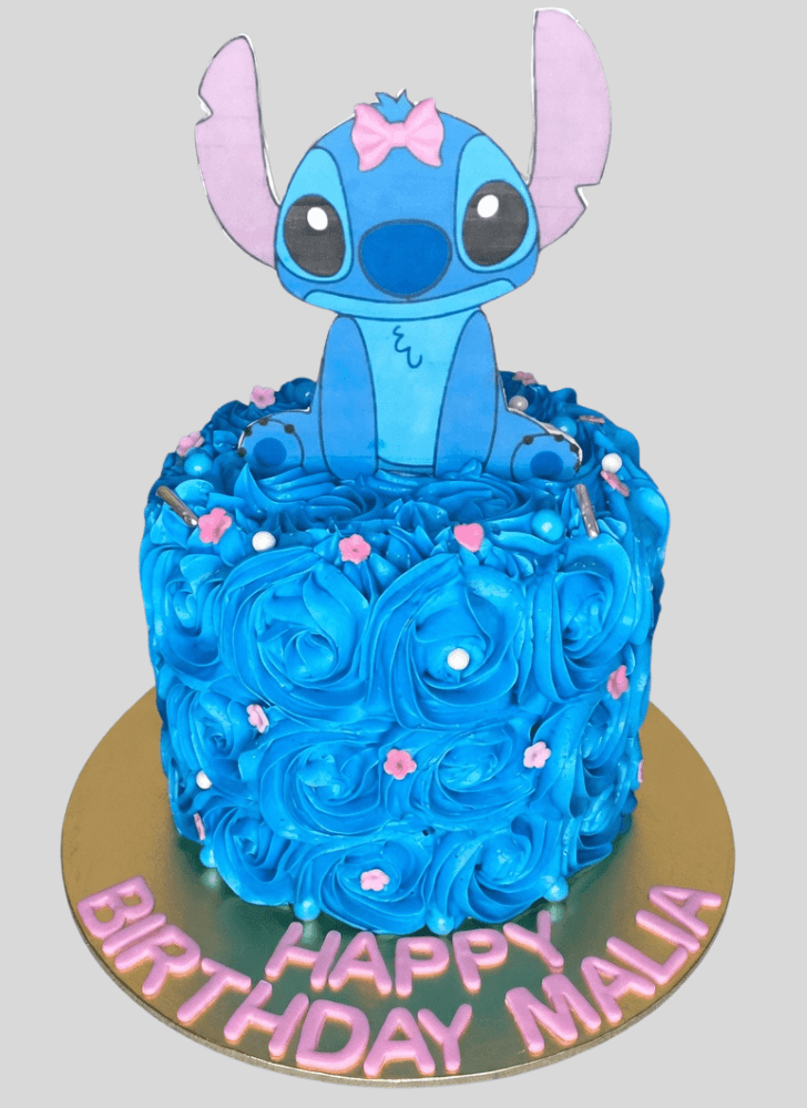 Enthralling Stitch Cake