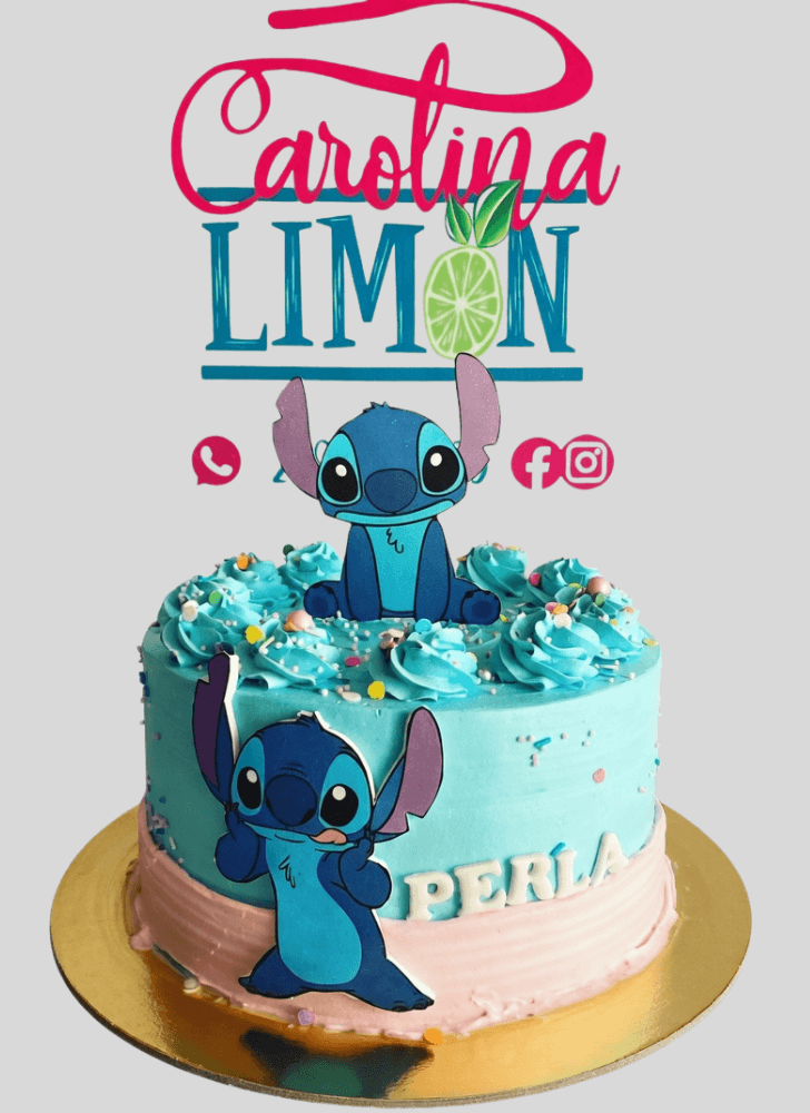 Enticing Stitch Cake