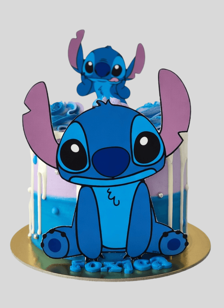 Excellent Stitch Cake