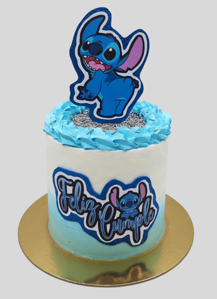Fair Stitch Cake