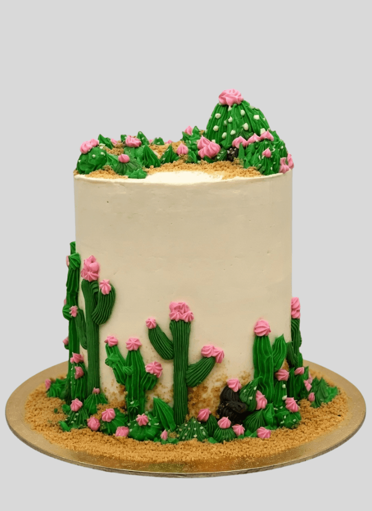 Comely Cactus Cake