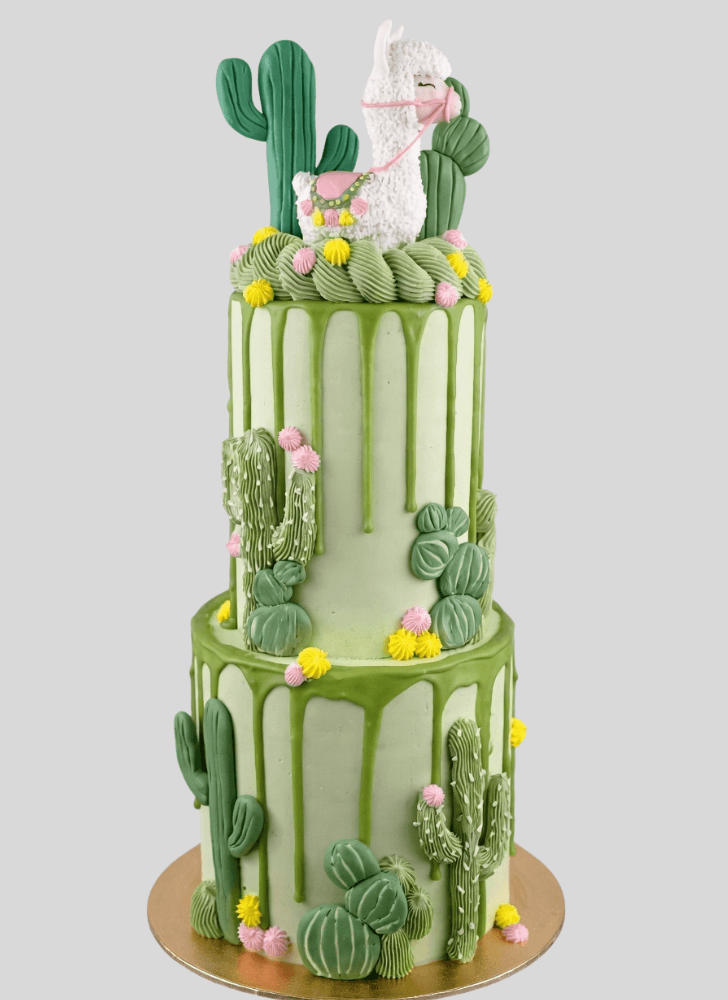 Magnetic Cactus Cake