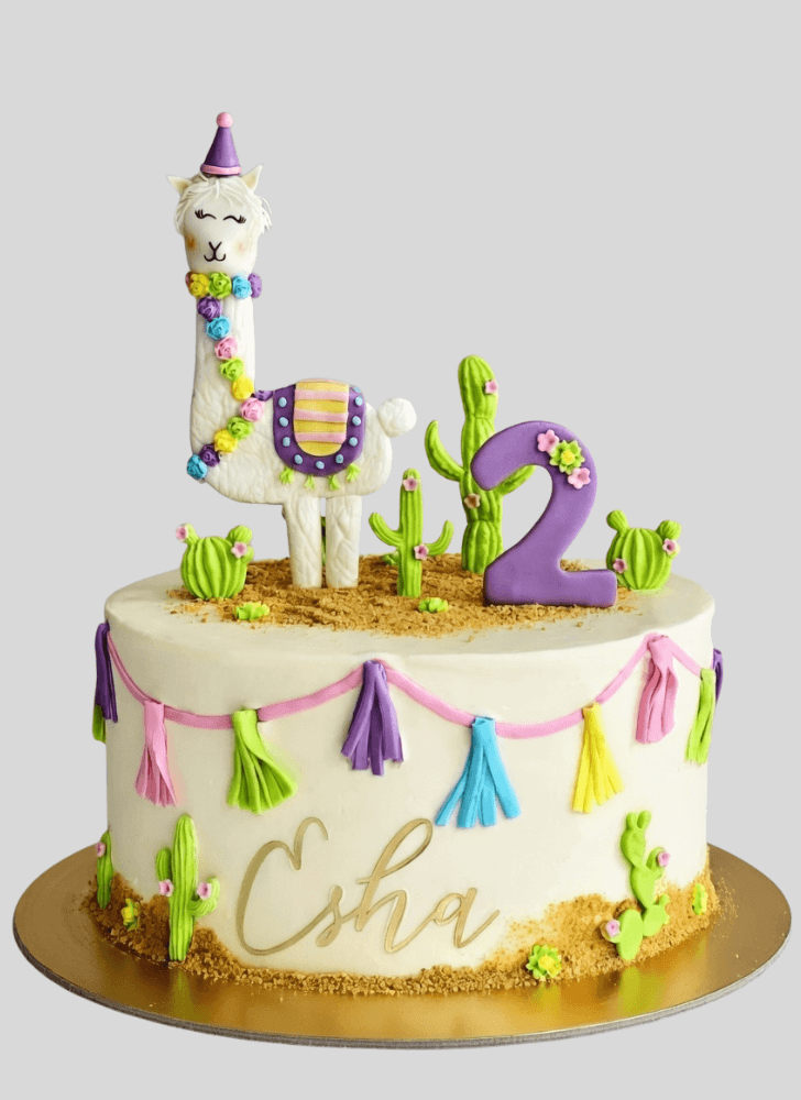 Superb Cactus Cake