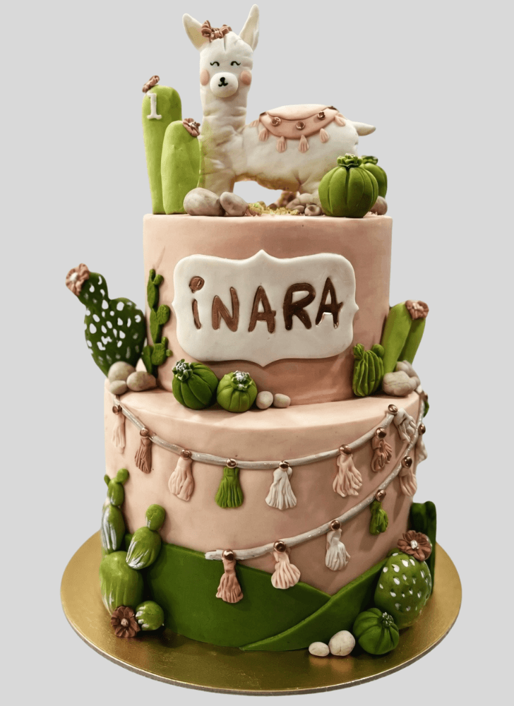 Wonderful Cactus Cake Design