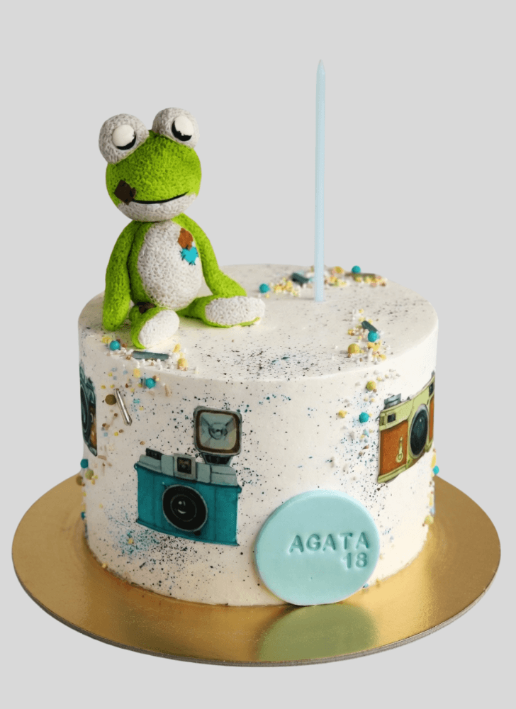 Captivating Lion King Cake