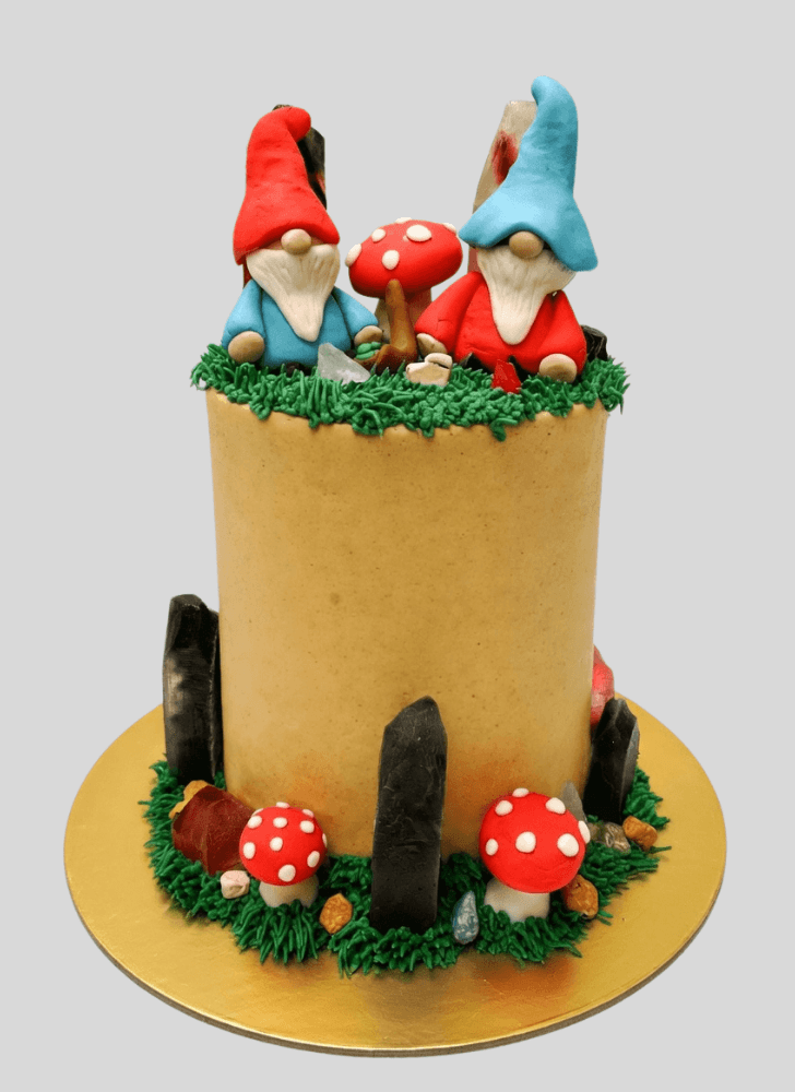 Fine Gnome Cake