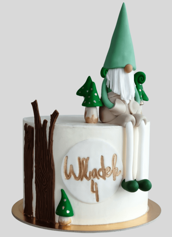 Lovely Gnome Cake Design