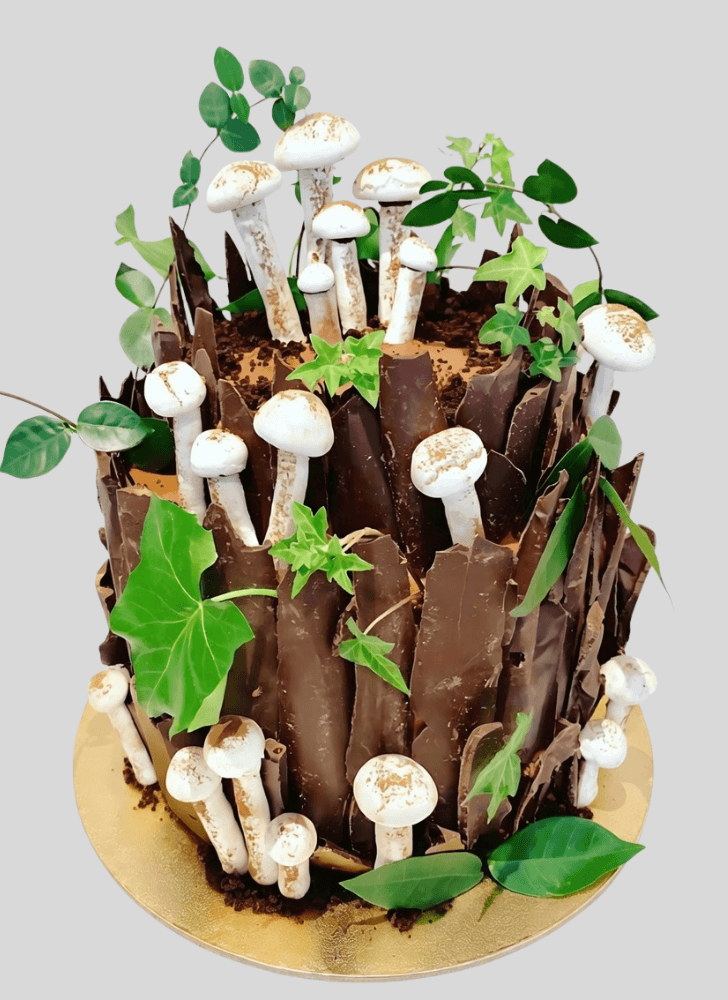 Fine Woodland Cake
