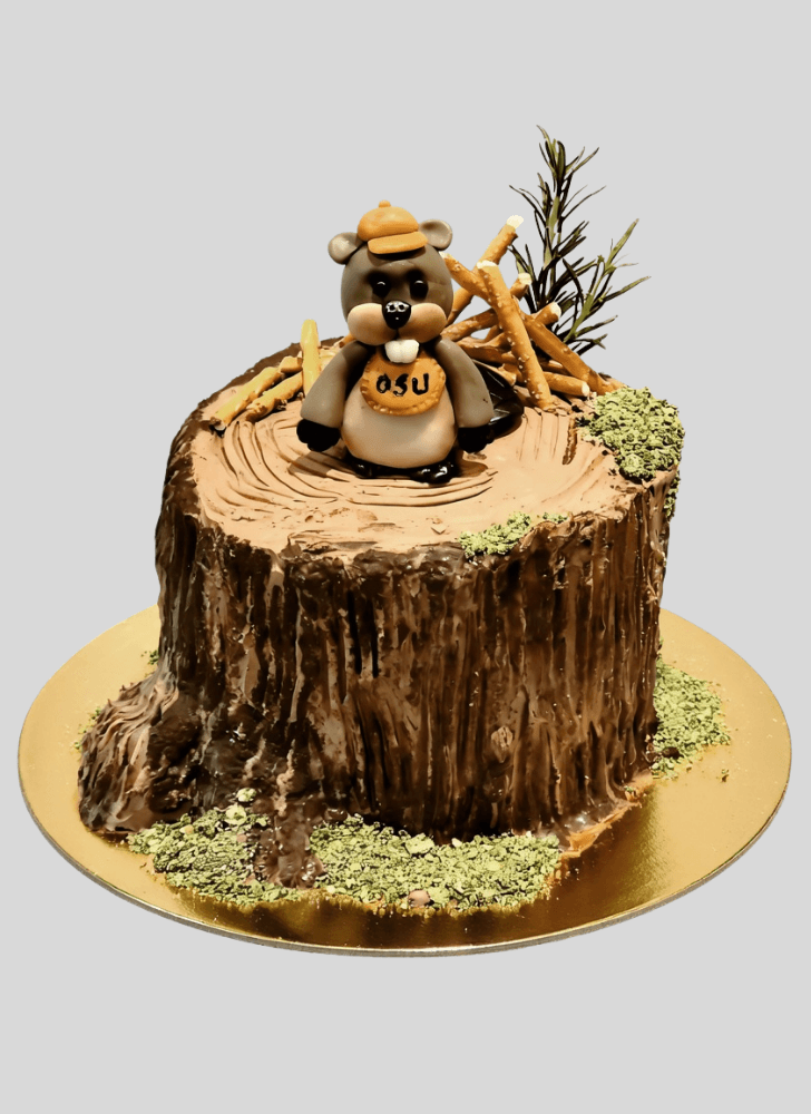 Magnetic Woodland Cake
