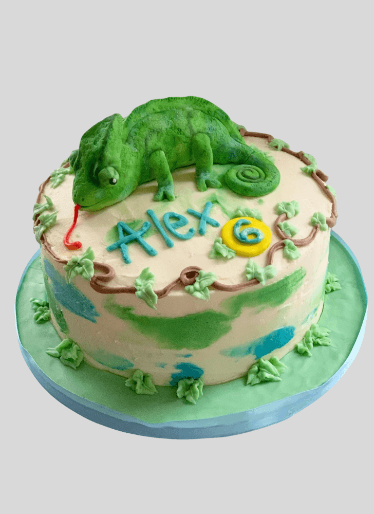 Angelic Chameleon Cake