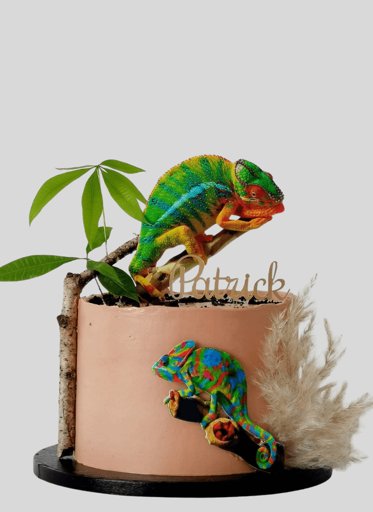 Bewitching Chameleon Cake
