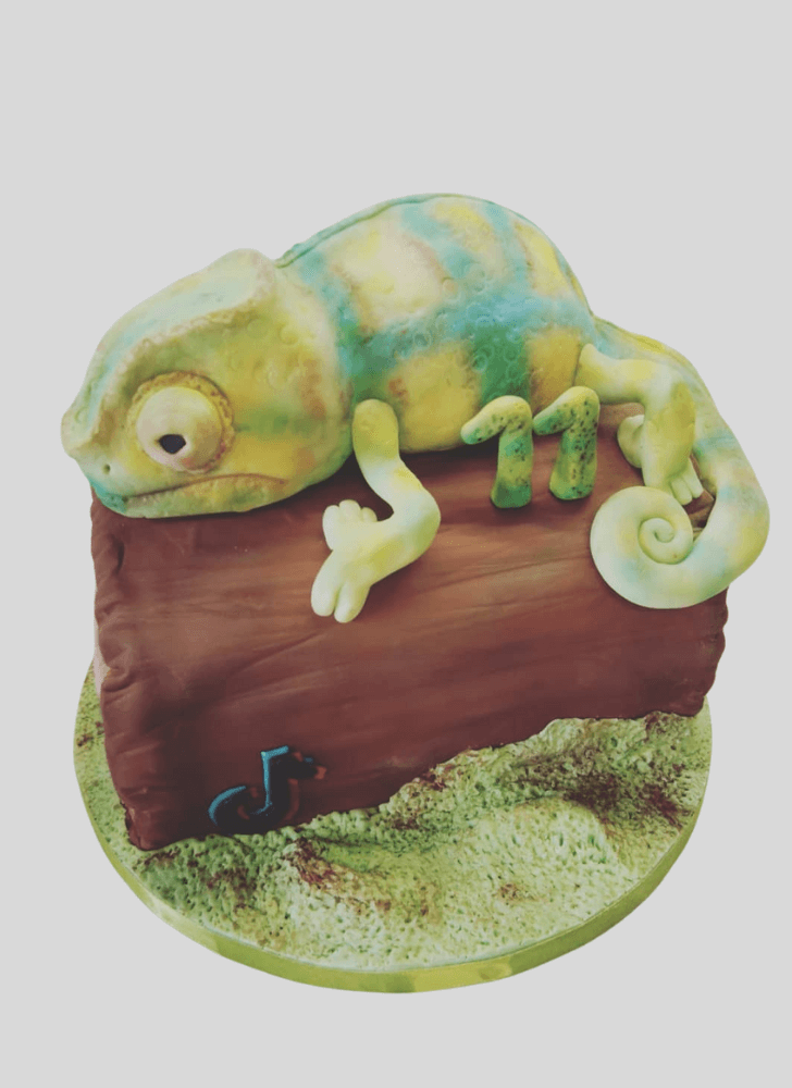 Captivating Chameleon Cake