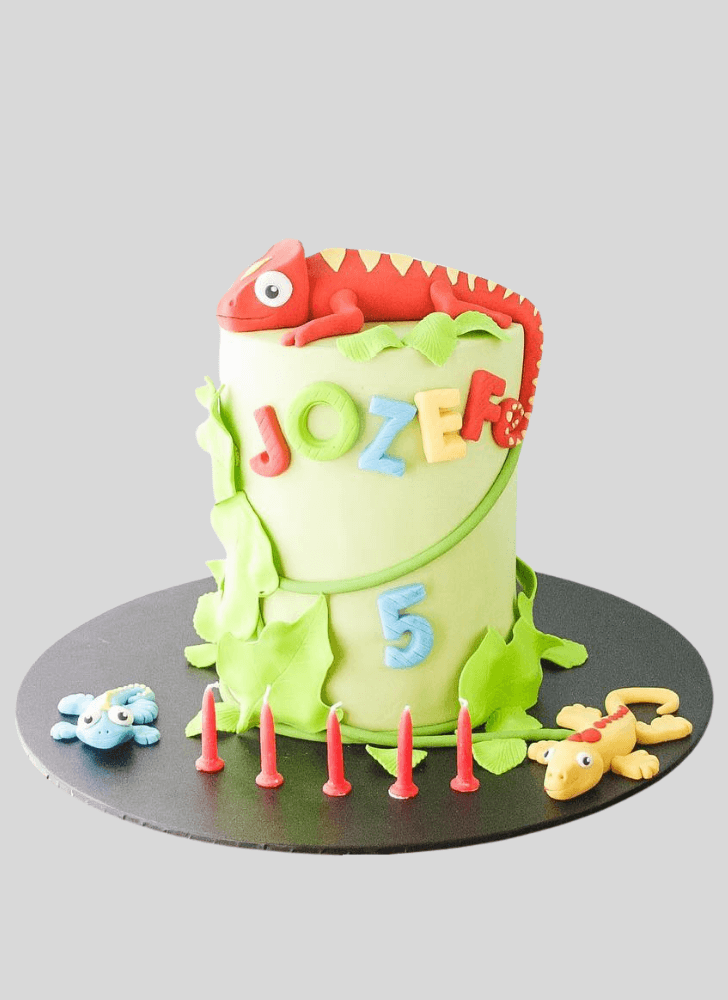 Classy Chameleon Cake
