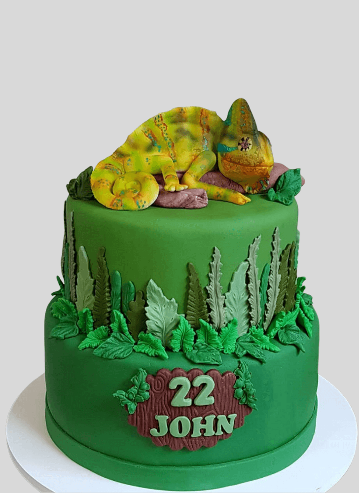 Comely Chameleon Cake