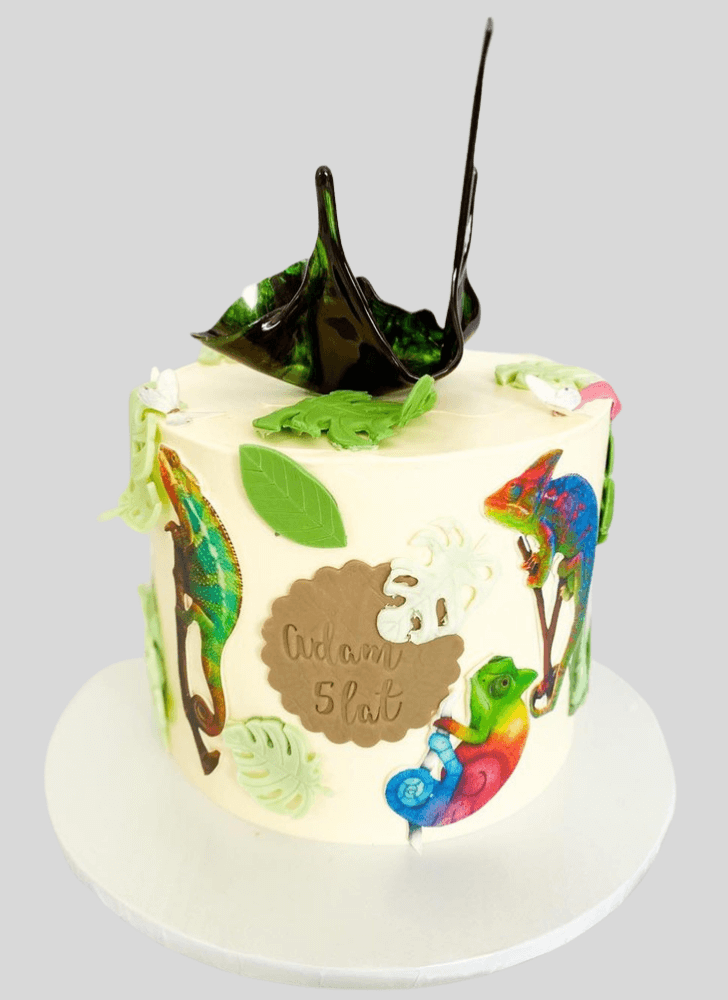 Dazzling Chameleon Cake