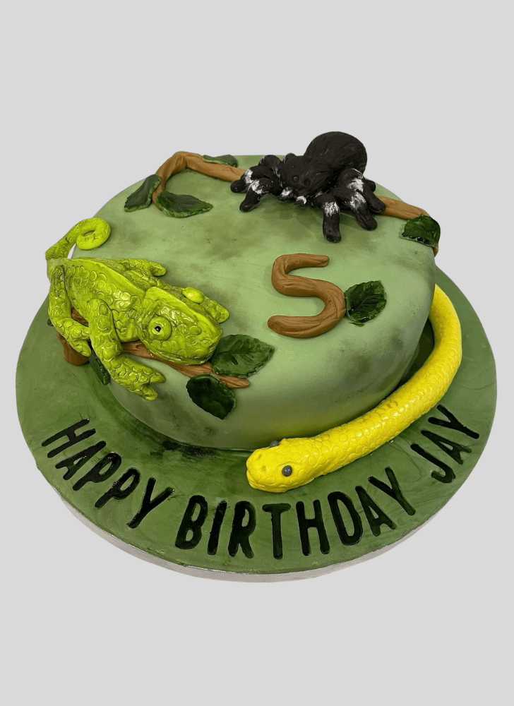 Delicate Chameleon Cake