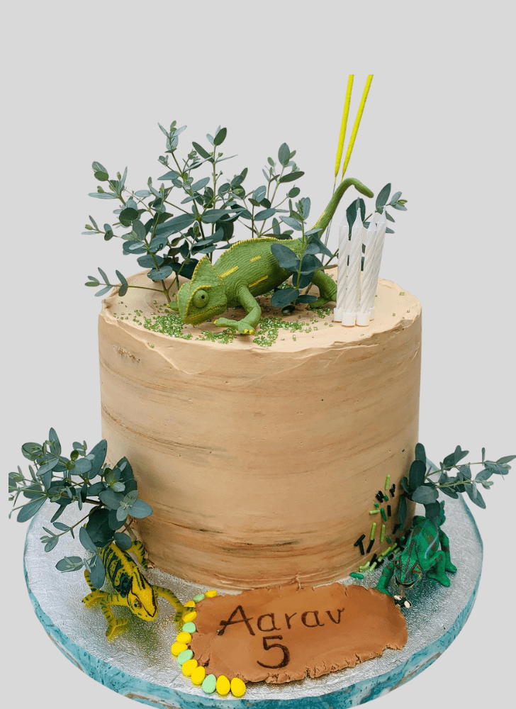 Delightful Chameleon Cake