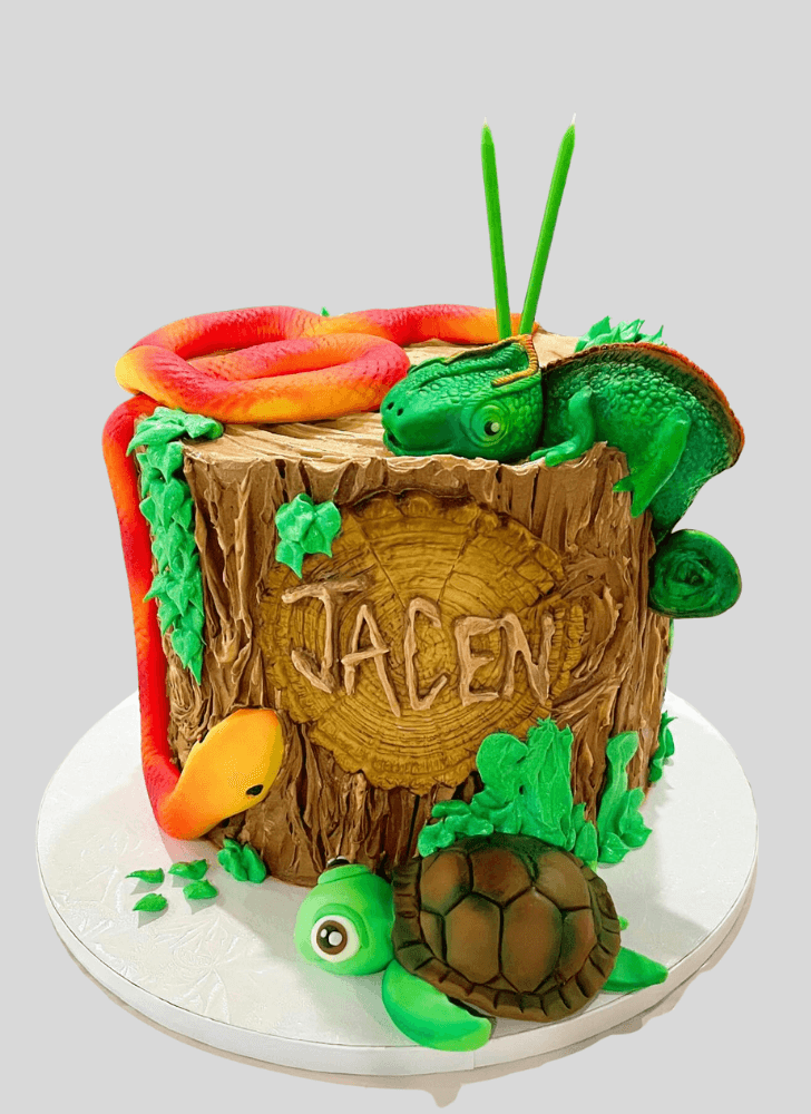 Divine Chameleon Cake