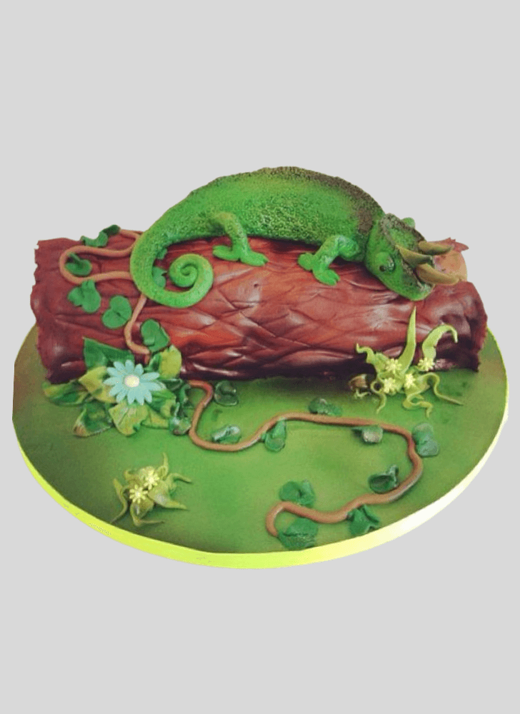 Excellent Chameleon Cake