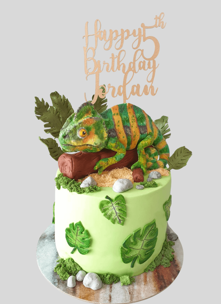 Fair Chameleon Cake