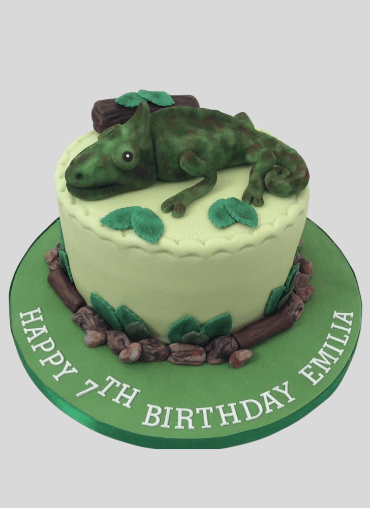 Good Looking Chameleon Cake