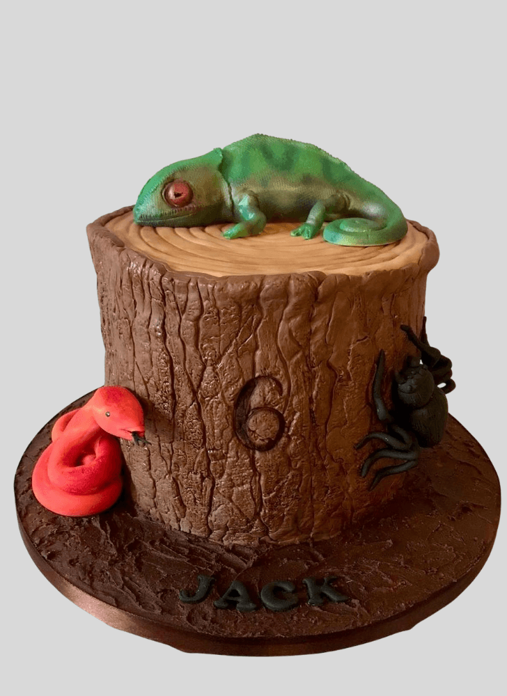 Gorgeous Chameleon Cake