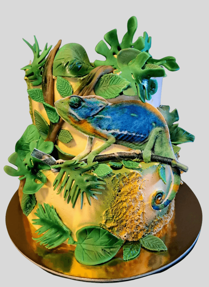 Magnetic Chameleon Cake