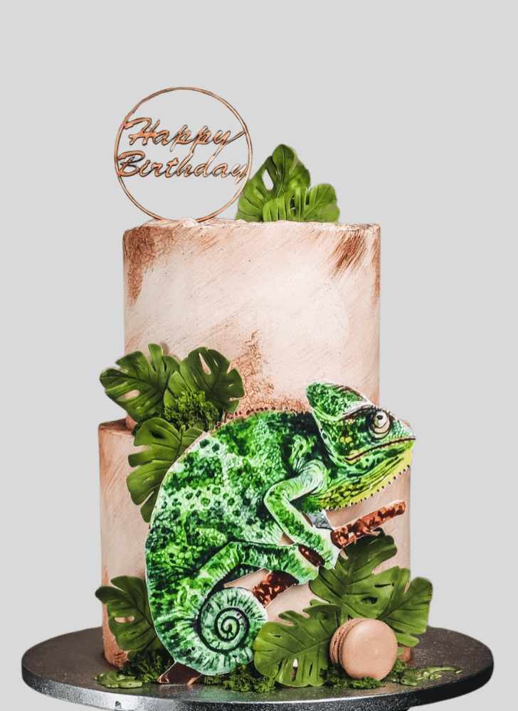 Magnificent Chameleon Cake