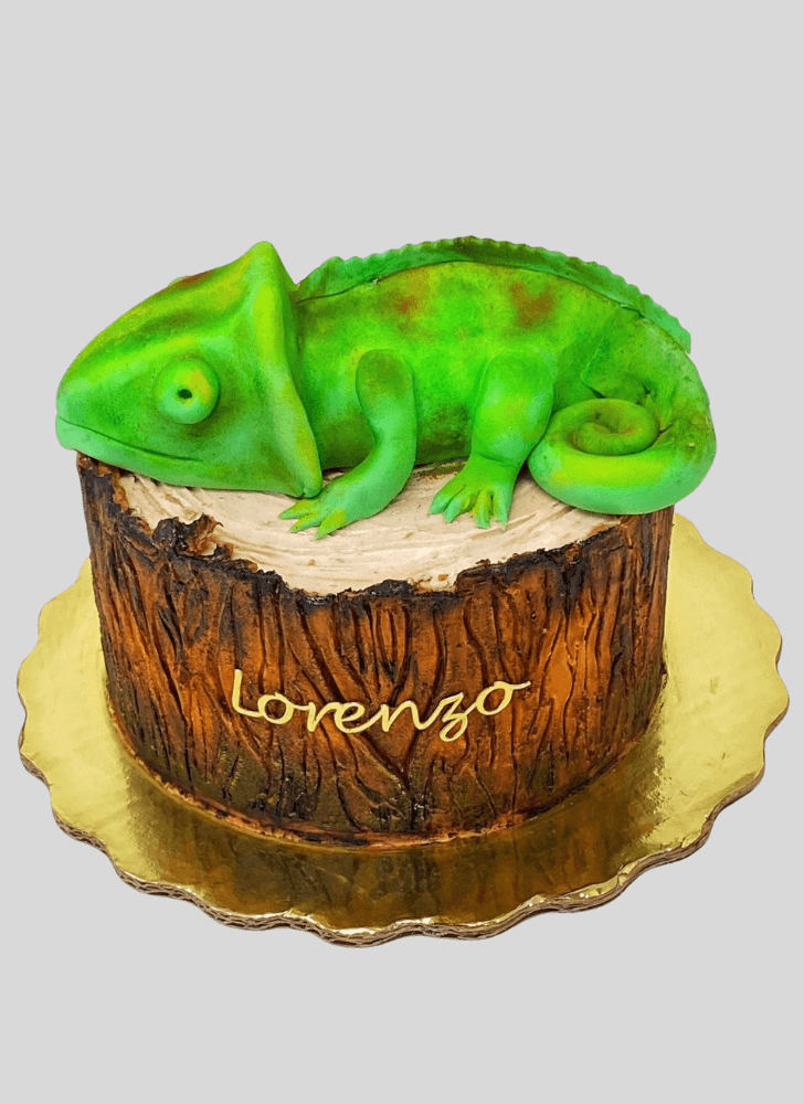 Marvelous Chameleon Cake