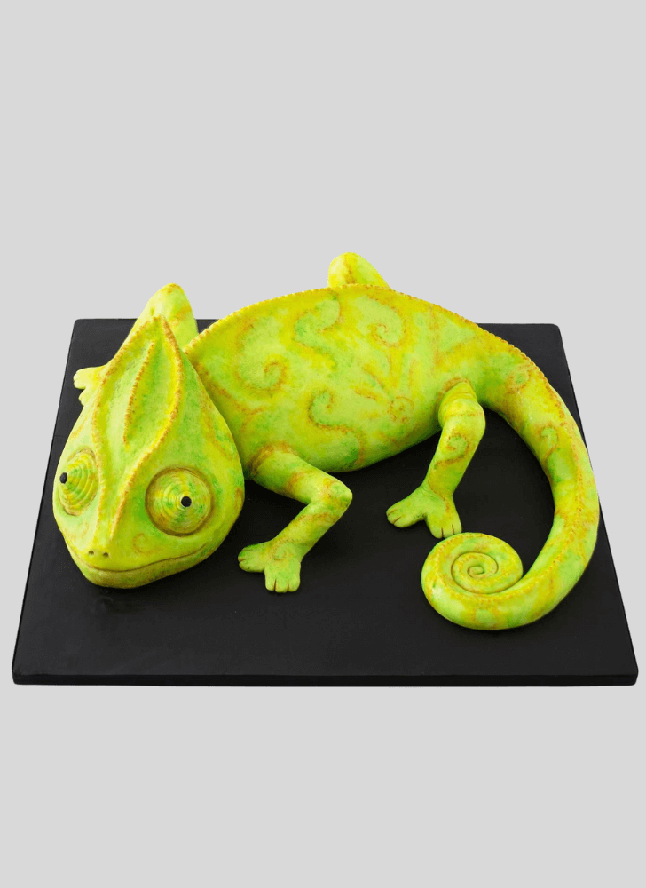 Pretty Chameleon Cake