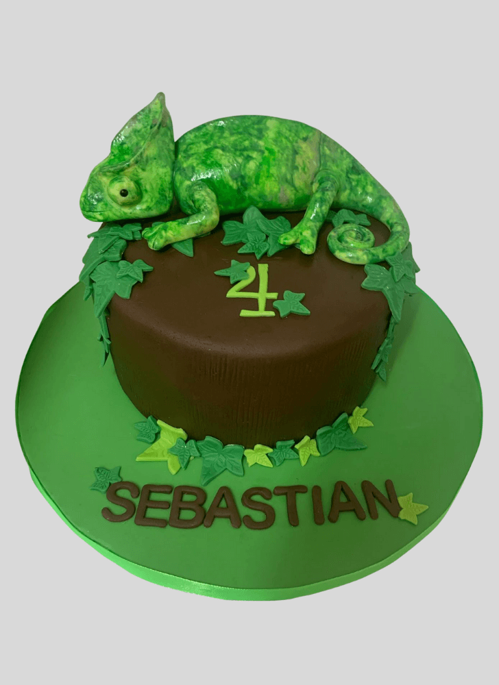 Ravishing Chameleon Cake