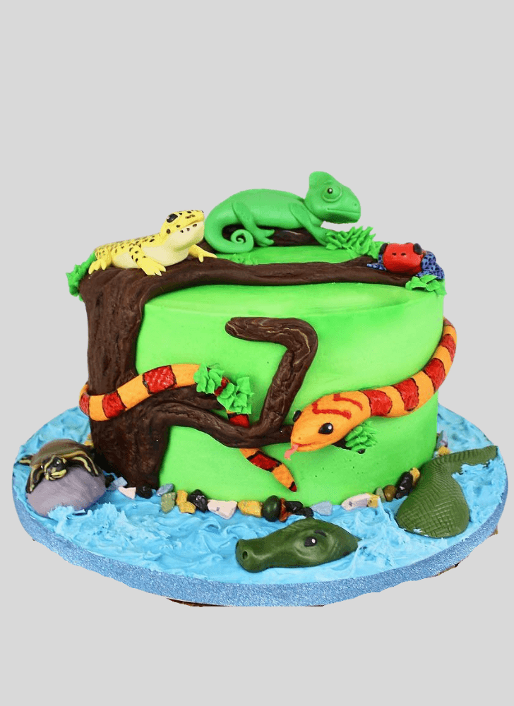 Refined Chameleon Cake