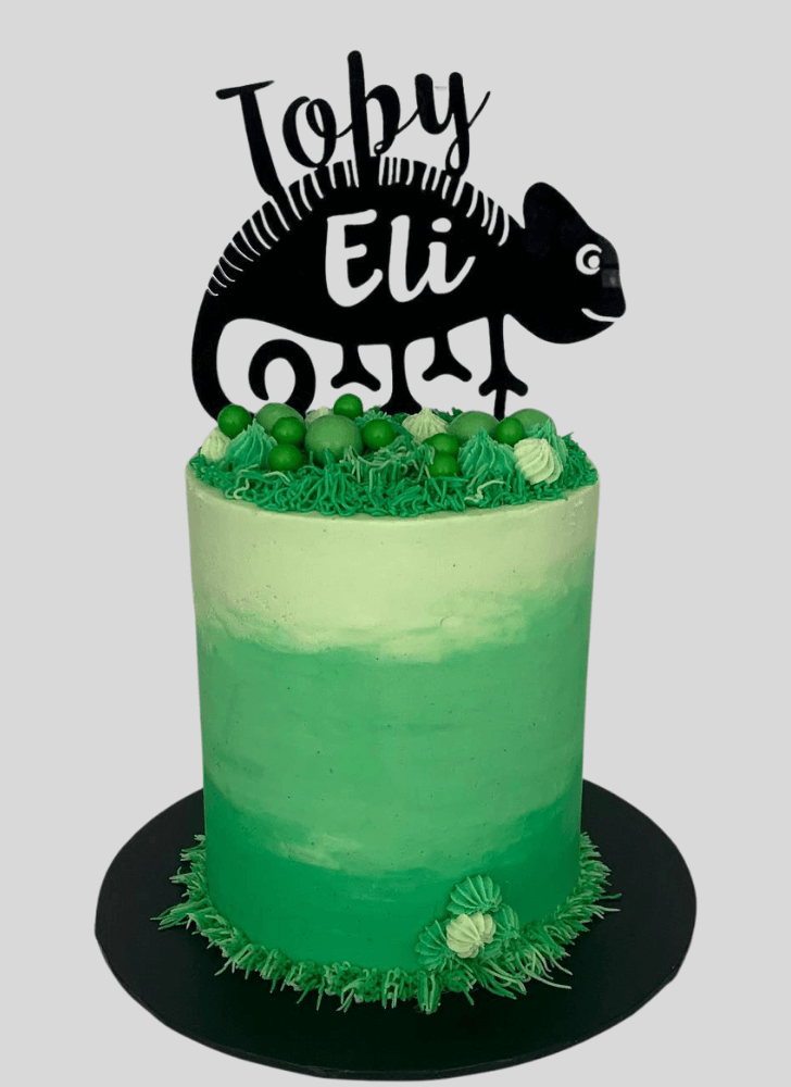 Shapely Chameleon Cake