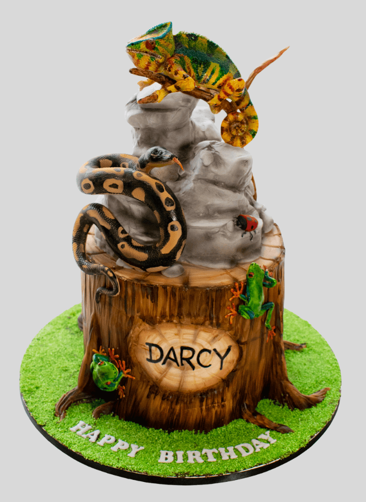 Slightly Chameleon Cake