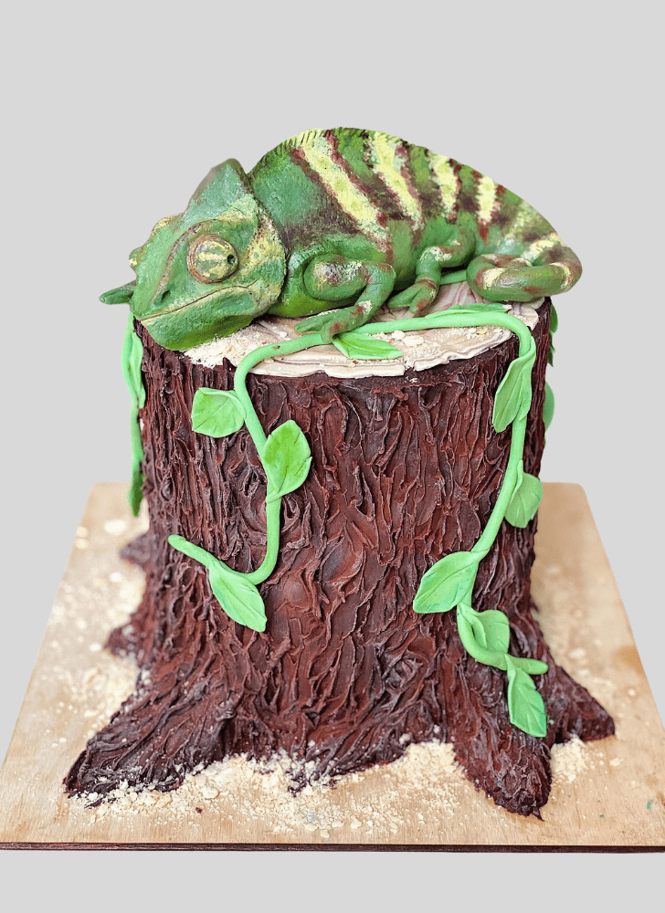 Superb Chameleon Cake