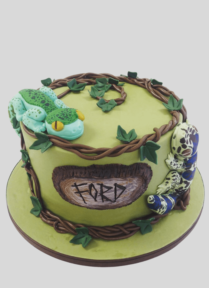 Angelic Gecko Cake