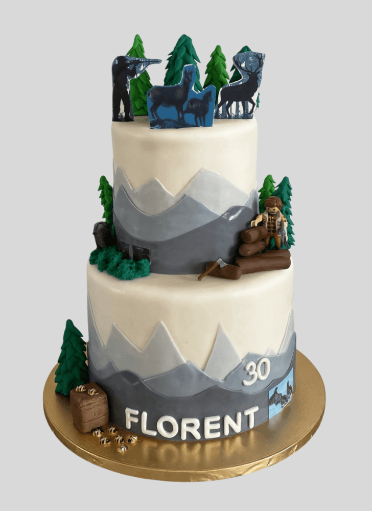Stunning Mountain Cake