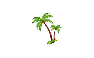 Palm